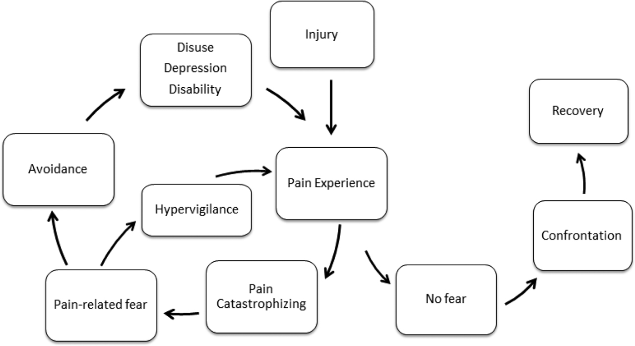 Figure 2: 
          The fear-avoidance model according to Vlaeyen and Linton [12].
        