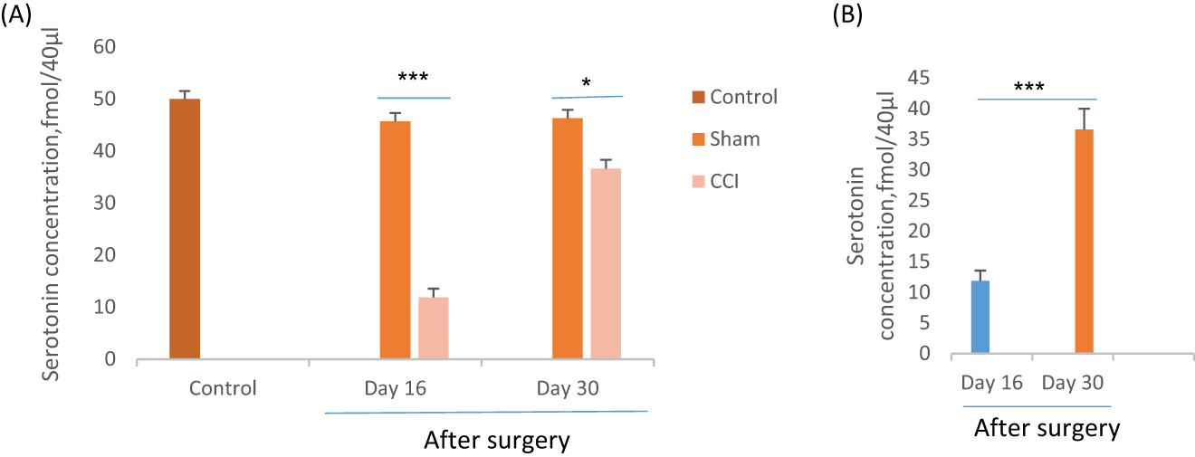 Figure 5:
Effect of CCI or sham surgery on extracellular level of serotonin (5-HT) in CA1 region of hippocampus of rats after behavioral assessment. *p<0.05 and ***p<0.001 indicate the differences between the groups on days 16 and 30th after surgery. Data analyzed by one-way ANOVA with a post hoc test (Scheffe’s test) and expressed as mean ± SEM of six animals per each group.