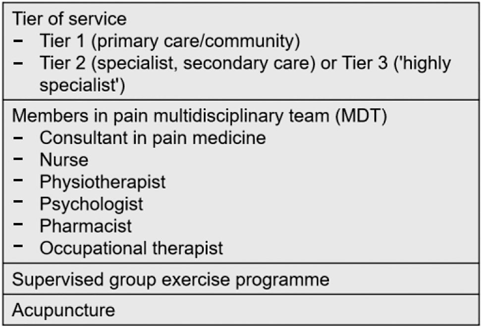 Table 1: 
          Final list of services for primary chronic pain that NHS Trusts should ideally provide.