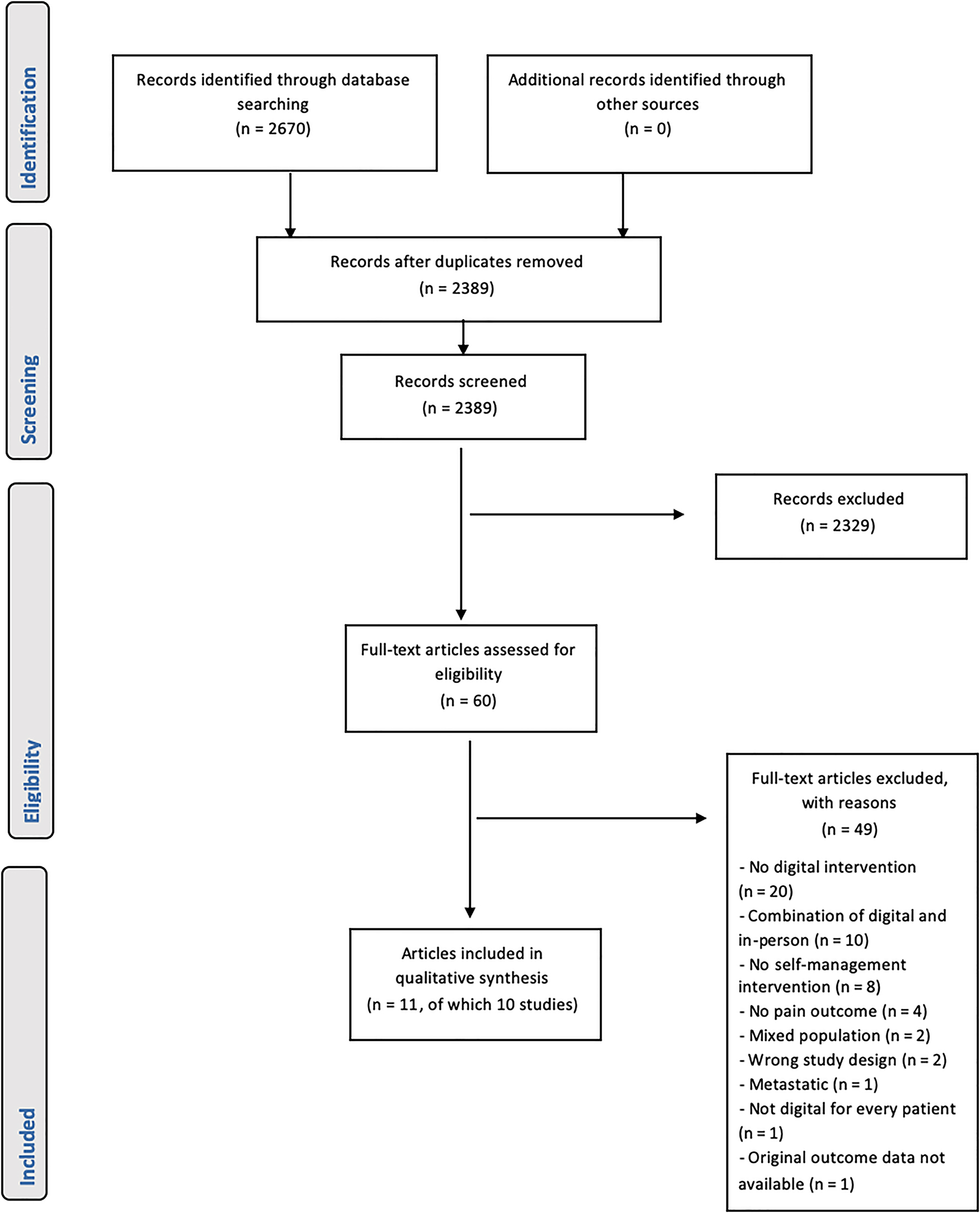 Figure 1: 
            Flow chart of the study selection process.
          