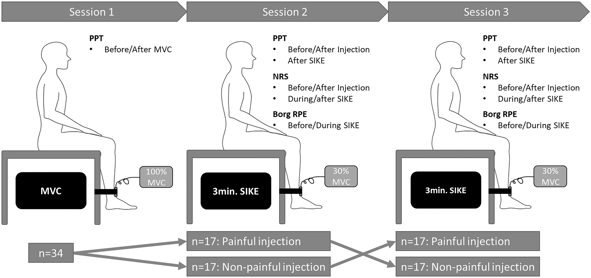 Figure 1: 
            Overview of experimental procedures. Pressure pain thresholds (PPT) were assessed repeatedly during all sessions over the bilateral vastus medialis muscles and the non-dominant upper trapezius muscle. Session 1: The maximal voluntary contraction (MVC) in seated isometric knee extension (SIKE) was assessed. Session 2 and 3: SIKE exercise (30 % of MVC) for 3 min or until exhaustion. Muscle pain intensity was assessed by 0–10 numerical rating scale (NRS) at baseline, after the injections and after 1, 2, and 3 min. of the SIKE and immediately after SIKE. The rate of perceived exertion (Borg RPE: 6–20) was assessed along NRS at baseline and after 1, 2 and 3 min of SIKE. Sessions were separated by approximately one week.
          