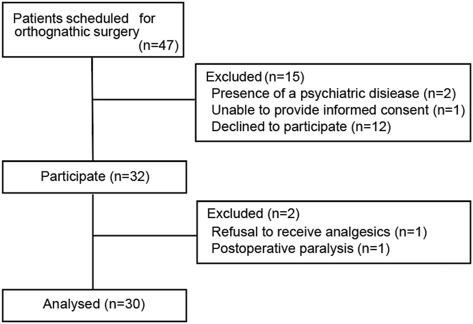 Figure 2: 
            Flow chart of patient selection.
          