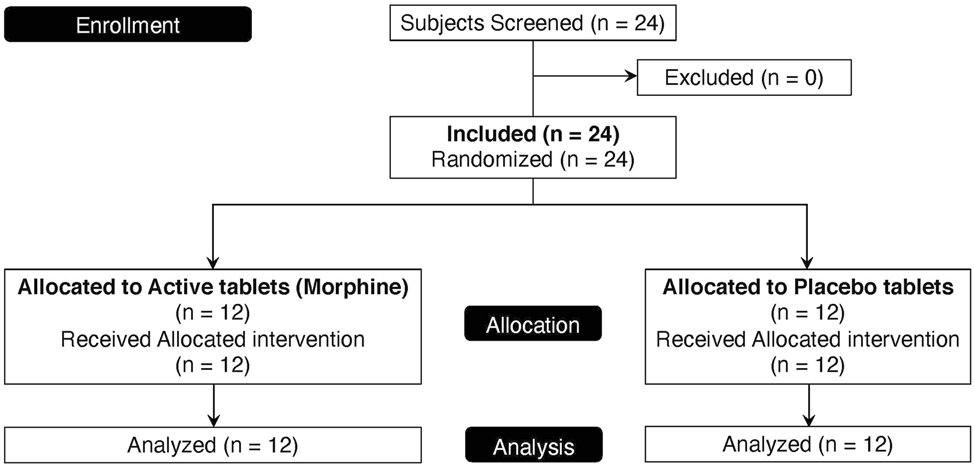 Figure 1: 
          Enrollment and allocation of participants. The diagram shows the numbers of screened, excluded, included, and completed participants. All the participants were included in the primary data analysis.
        