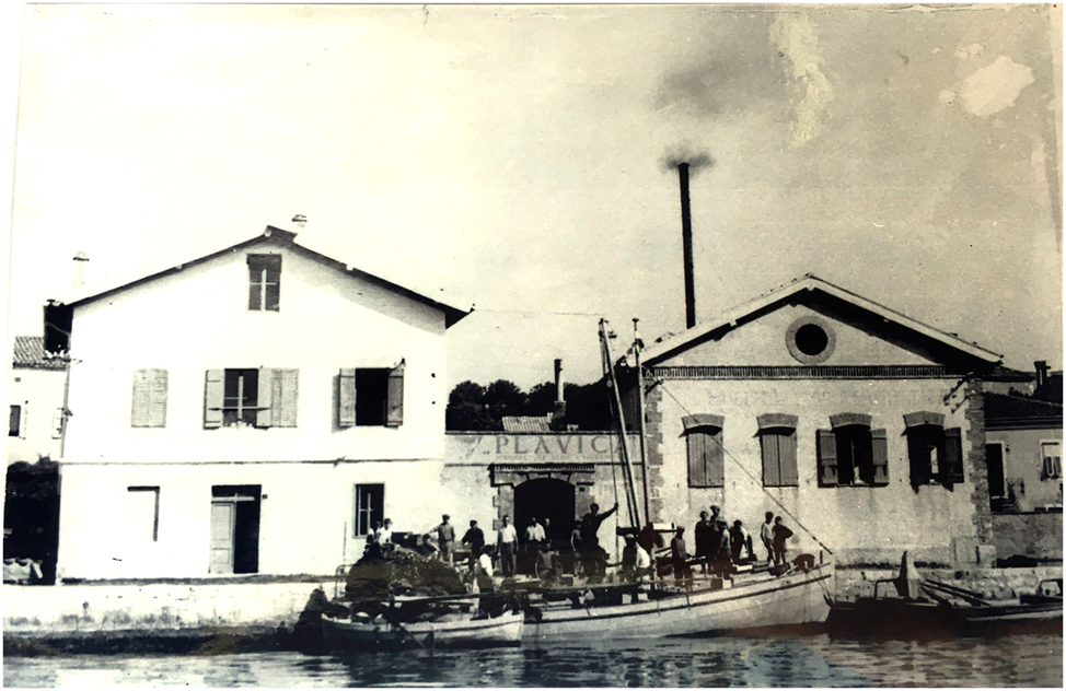 Figure 2: 
The Plavica factory on Cres, unidentified date. The sign bearing the name Plavica indicates that the photograph was taken in or after 1956, the year the factory adopted this name. Source: Cres Museum Archive.
