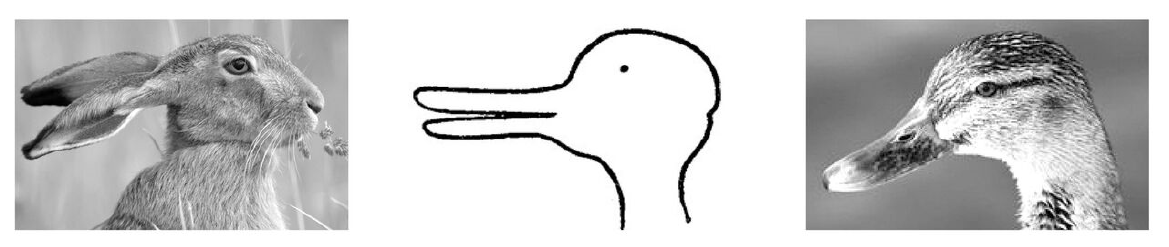 Abb. 3 „H-E-Kopf“ nach L. Wittgenstein (Mitte) neben den Bildern eines Hasen und einer Ente (Bildzusammenstellung: M.R.M).