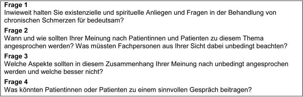 Abbildung 1 Interviewleitfaden Fachpersonen