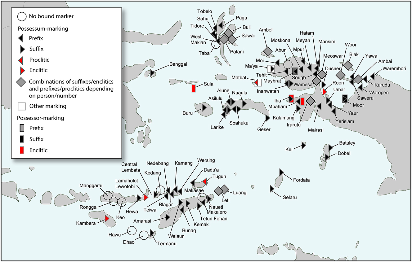 Map 4: 
Locus of bound possessive markers in Linguistic Wallacea.