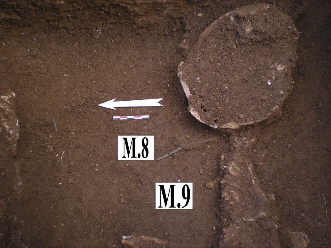 Figure 5. Sfakaki, plot of IRIS Hotel Inc., Grave 7, skeletal remains and the gold epistomion (M9).