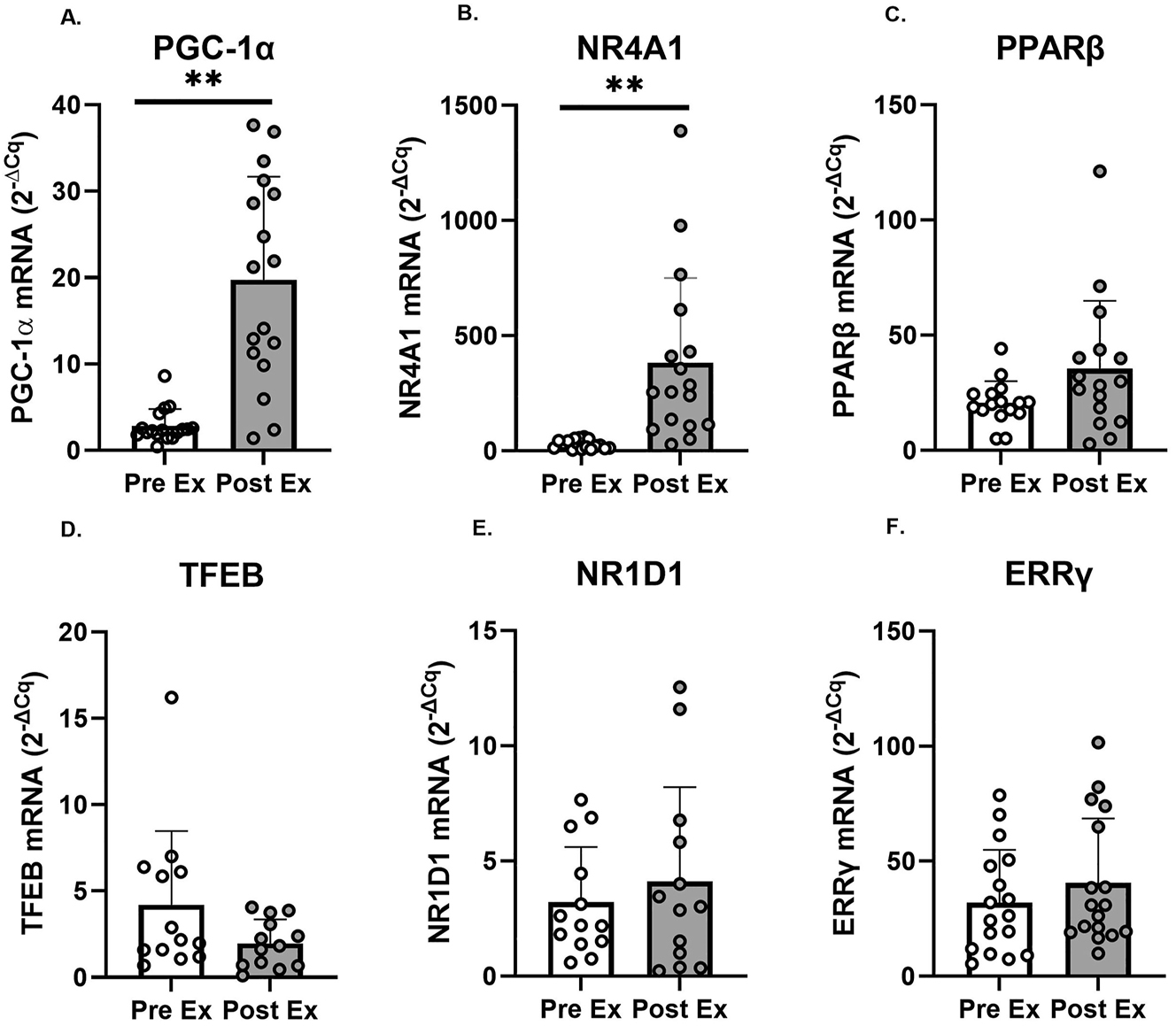 Figure 3: 
Changes in PGC-1α, NR4A1, PPARβ, TFEB, NR1D1, and ERRγ mRNA expression in the vastus lateralis before (pre ex; white boxes) and after (post ex; 3 h; grey boxes) an acute supramaximal exercise (n=17 for PGC-1α, NR4A1, and ERRγ; n=16 for PPARβ; n=13 for TFEB and NR1D1). Note: Symbols denote significant (**p<0.001) differences vs. PreEx. Individual data points representing each participant are superimposed on each bar graph, with open circles for PreEx and filled circles for PostEx.
