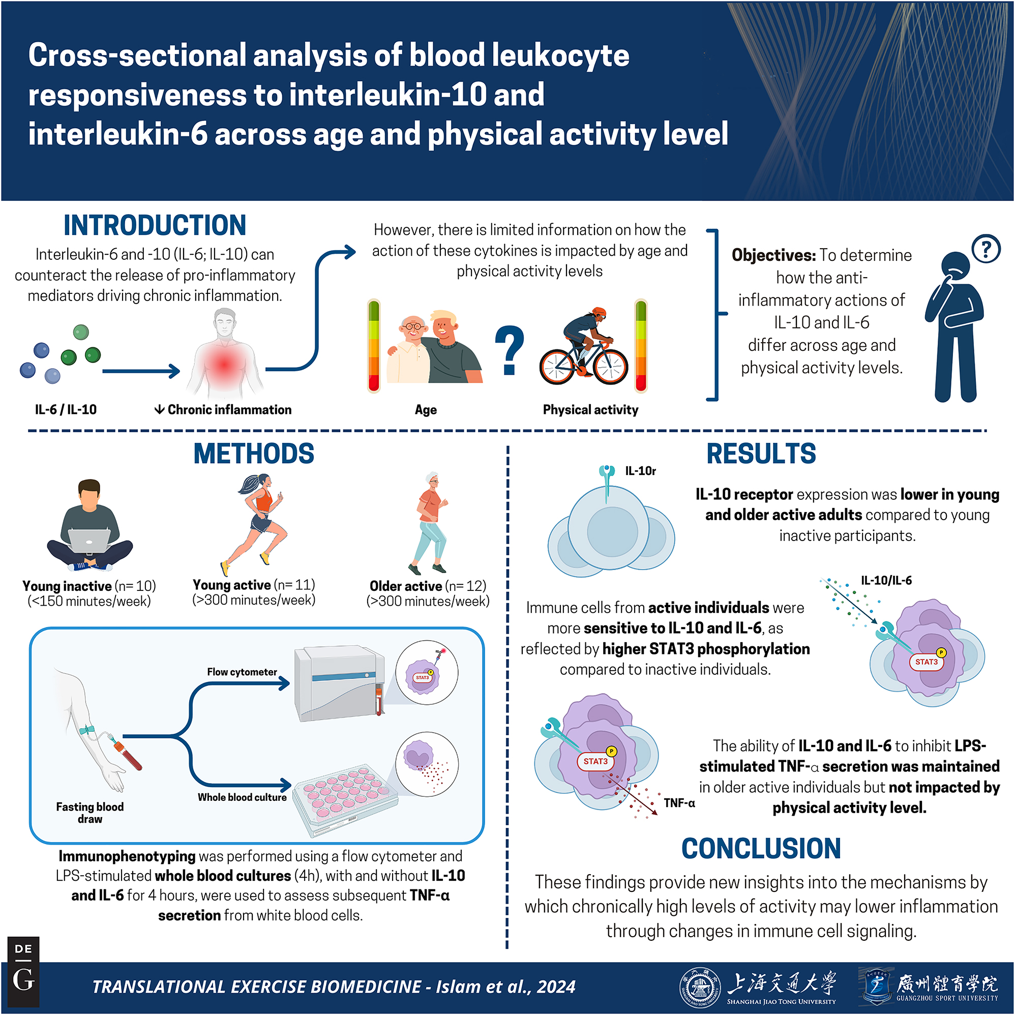 Vorschaubild aus dem Artikel