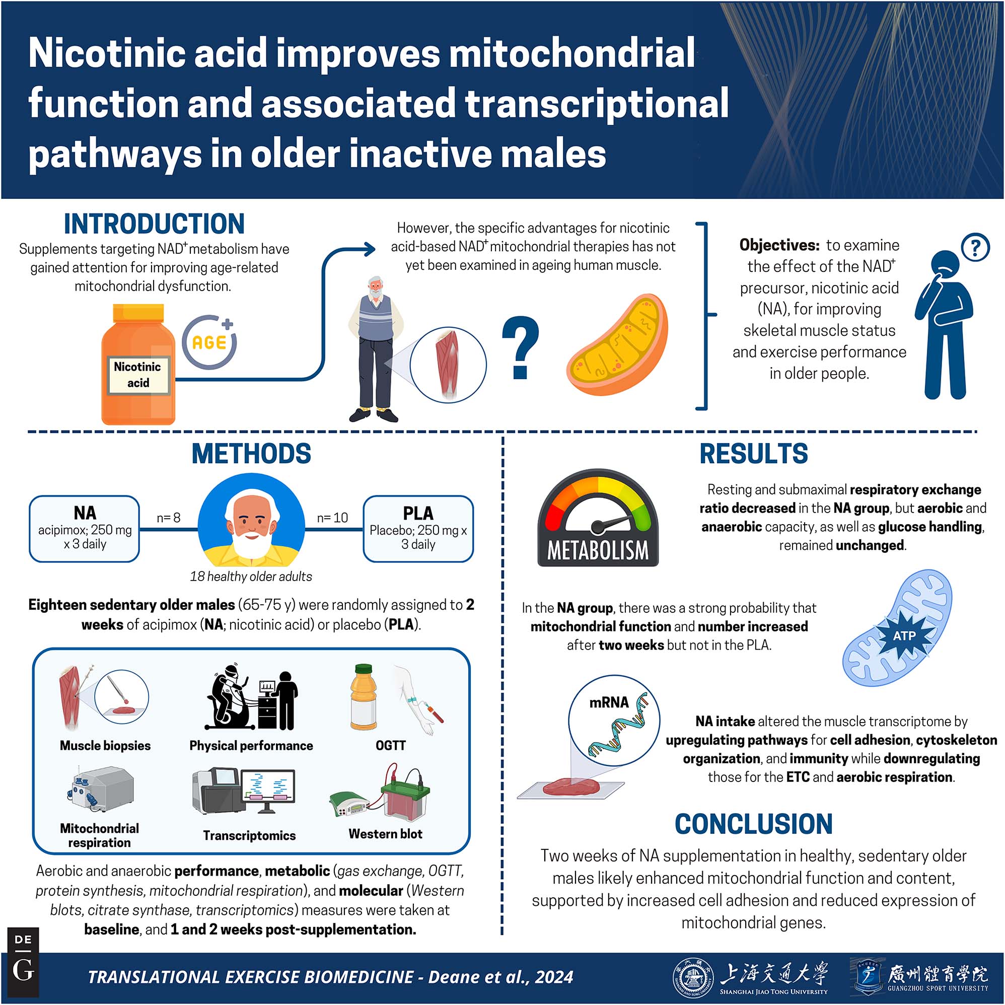 Vorschaubild aus dem Artikel