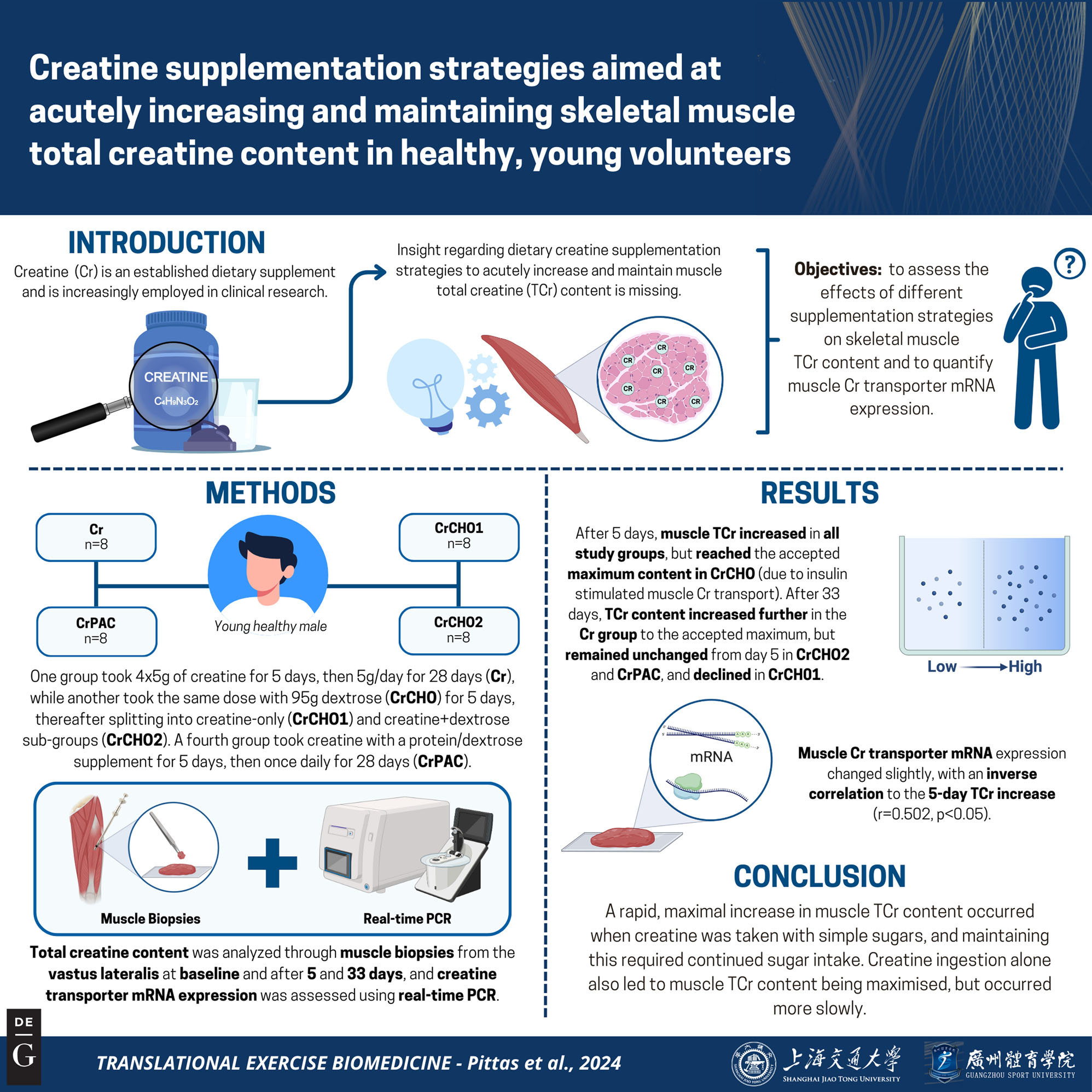 Vorschaubild aus dem Artikel