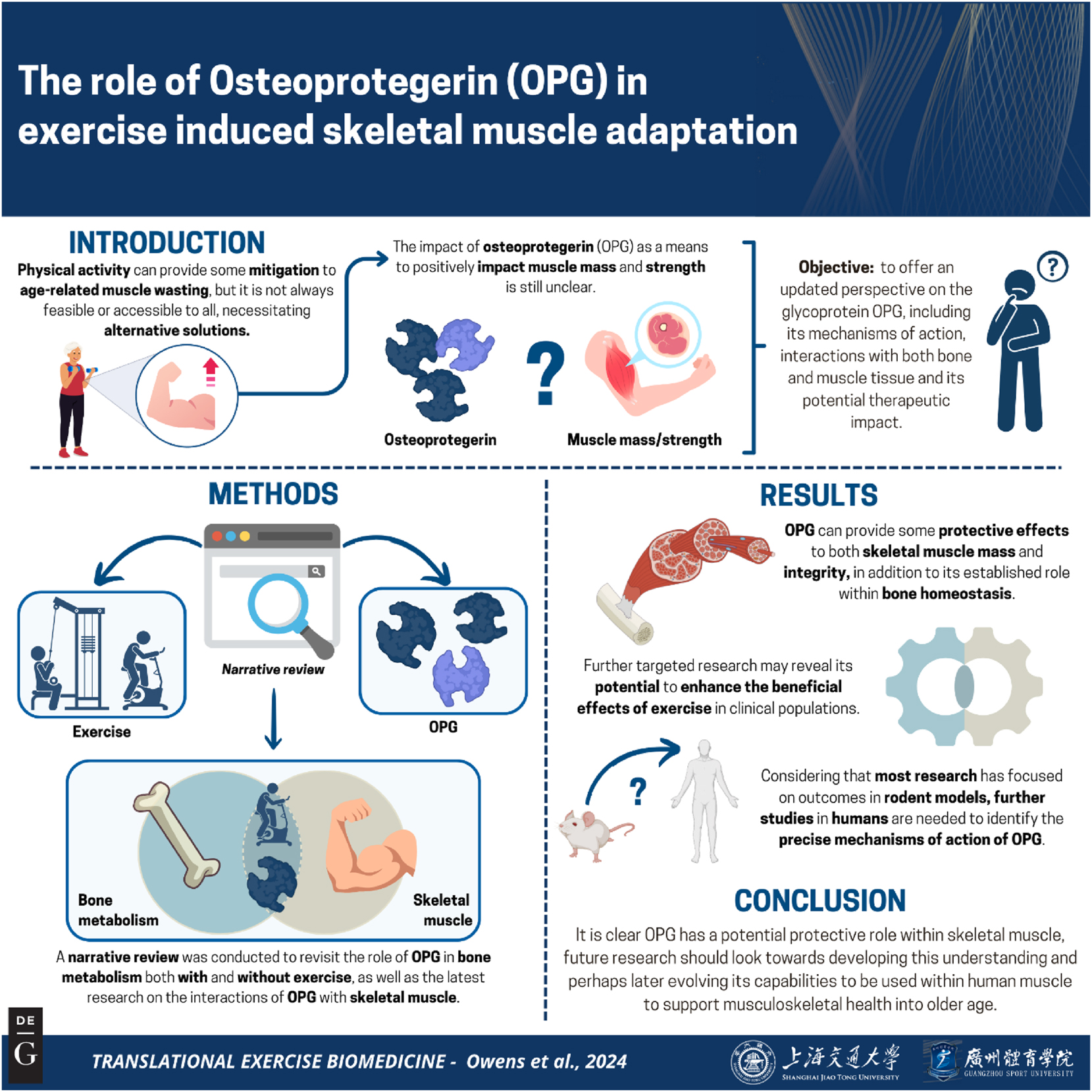 Vorschaubild aus dem Artikel