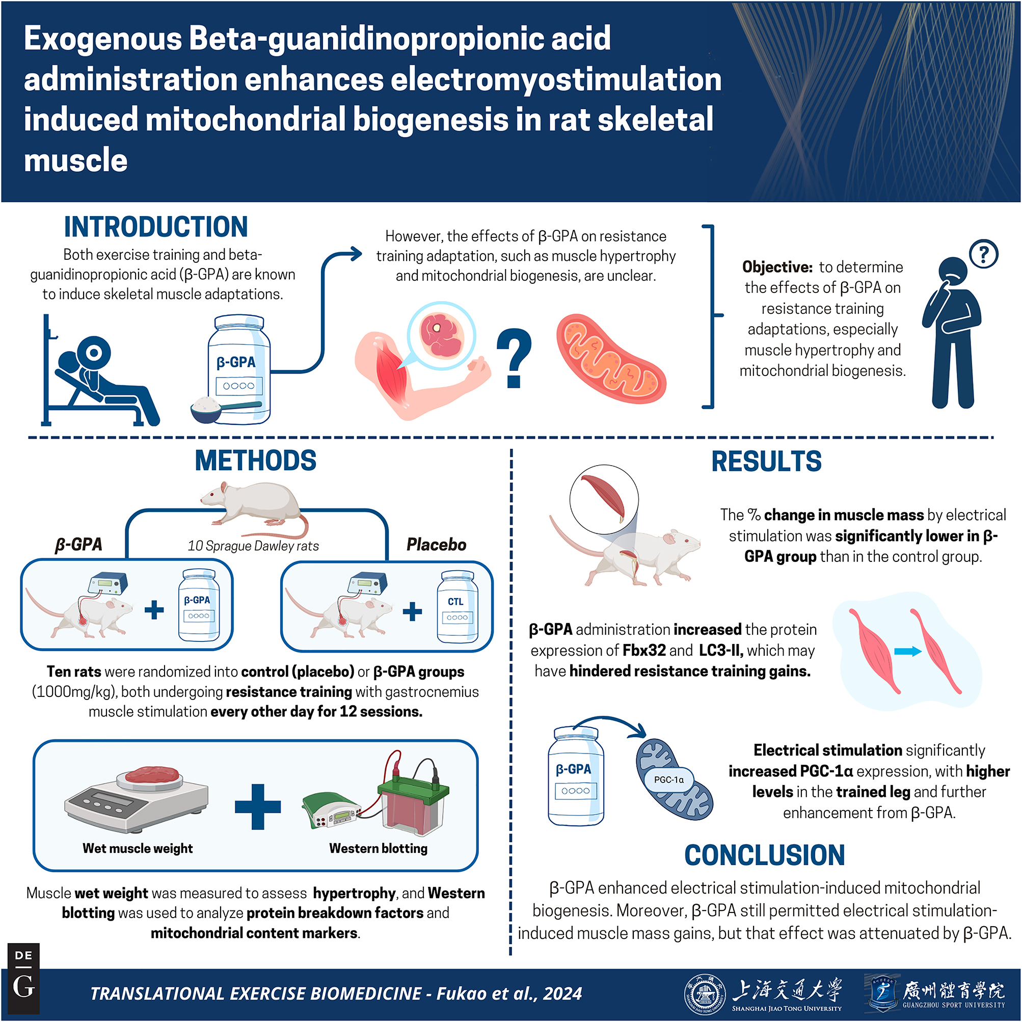 Vorschaubild aus dem Artikel