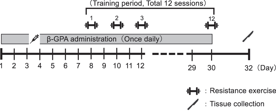 Figure 2: 
An overview of the study.

