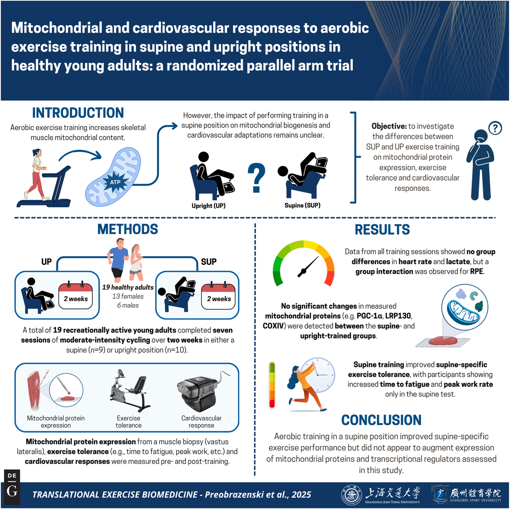 Vorschaubild aus dem Artikel