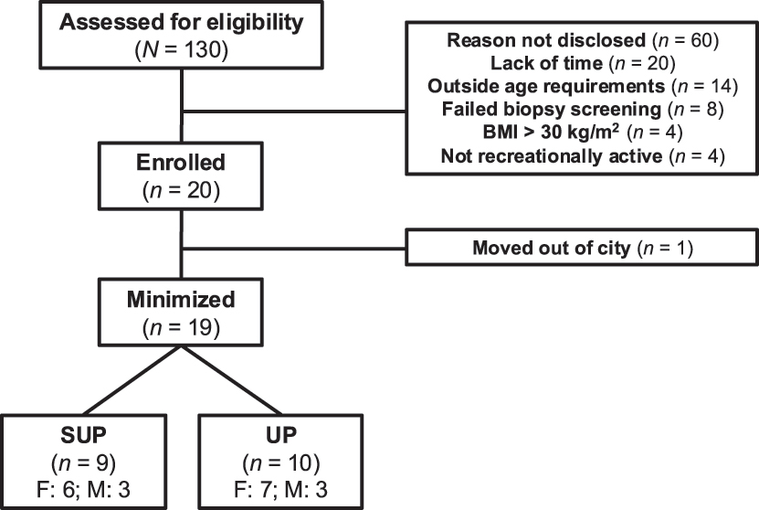 Figure 2: 
Flow chart depicting recruitment, minimization, drop-outs, and completion. Note: SUP, aerobic training in a supine position with legs above the heart; UP, aerobic training with legs below the heart; BMI, body mass index.
