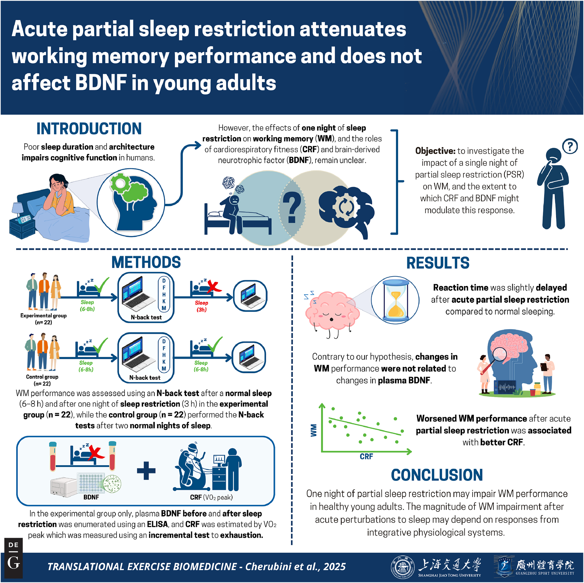Figure 1: 
Graphical representation of this study. Key points: (1) working memory assessments were conducted using an N-back task and plasma BDNF was measured after normal sleep and after acute partial sleep restriction in order to examine the relationships between acute perturbations to sleep and circulating BDNF dynamics in humans. (2) Sleep restriction slightly reduced reaction time during the N-back task relative to a normal sleeping control group. (3) Changes in reaction time were independent of changes in plasma BDNF.
