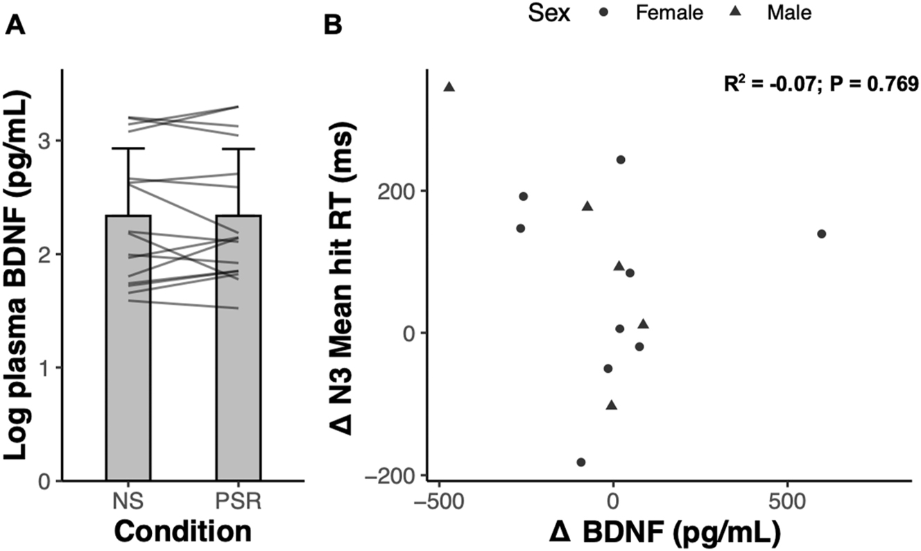Figure 3: 
Plasma BDNF following normal sleep (NS) versus partial sleep restriction (PSR), and its relation to changes in working memory performance. (A) Log plasma BDNF (pg/mL) measured after NS and after acute PSR. Grey lines represent individual participant responses (n=16). Data represents mean±SD. (B) Relationship between the change in 3-back (N3) mean hit reaction time (RT) and the change in BDNF (pg/mL) between normal sleep and acute PSR (n=14).
