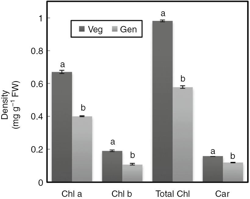 Figure 2: Chlorophyll and carotenoid contents in leaves of F. gummosa Boiss at both vegetative and generative stages.Vertical bars represent ±S.E. and different letters are significantly different at p<0.05.