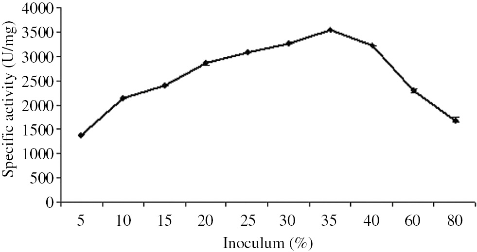 Figure 3: Effect of inoculum on β-galactosidase production by B. licheniformis ATCC 12759 in solid-state fermentation.