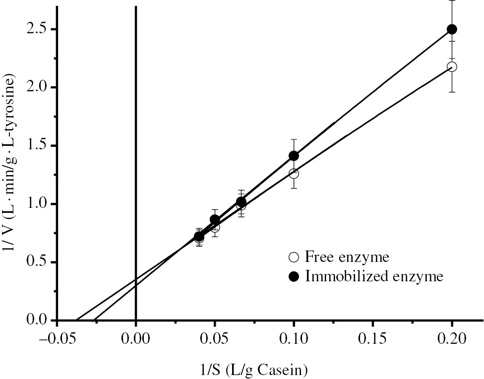 Figure 5: Lineweaver–Burk plots of free and immobilized BLP.Initial velocities for kinetic parameters were determined by performing the reactions at different casein concentrations (5–25 g/L) for 15 min.