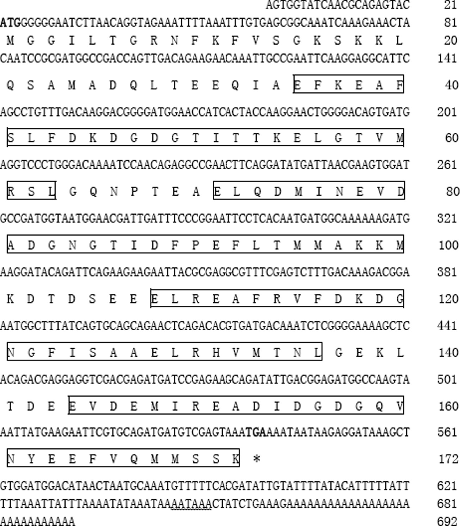 Figure 1: Nucleotide and deduced amino acid sequences of AwCaM1.The start and stop codons are indicated with bold. Putative polyadenylation signal “AATAAA” is showed with wavy line. The four Ca2+-binding domains are marked with box.
