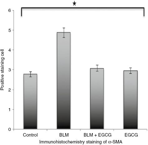 Figure 4: Staining score for alpha smooth muscle actin.Results are presented as mean+SEM. *p<0.05.