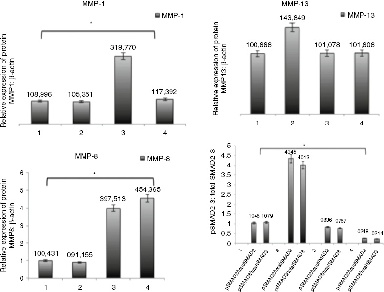 Figure 6: Effects of EGCG treatment on MMPs and Smad pathway proteins in scleroderma.Quantitative representation of protein expression in all groups were obtained by densitometric analysis. (1) Control group, (2) BLM group, (3) BLM+EGCG group, (4) EGCG group. *p<0.05.