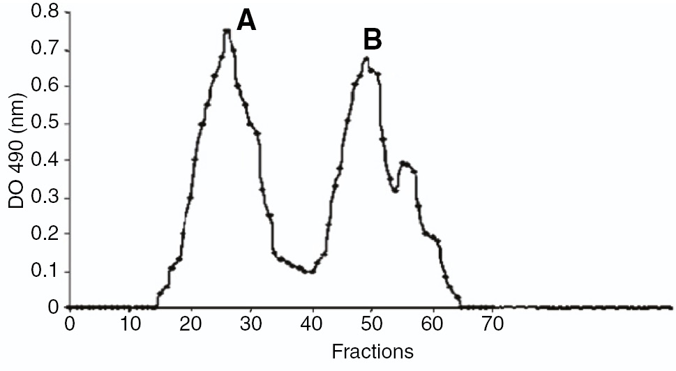 Figure 2: Anion exchange chromatogram of the EPS synthesized by Rhizobacterial strain.