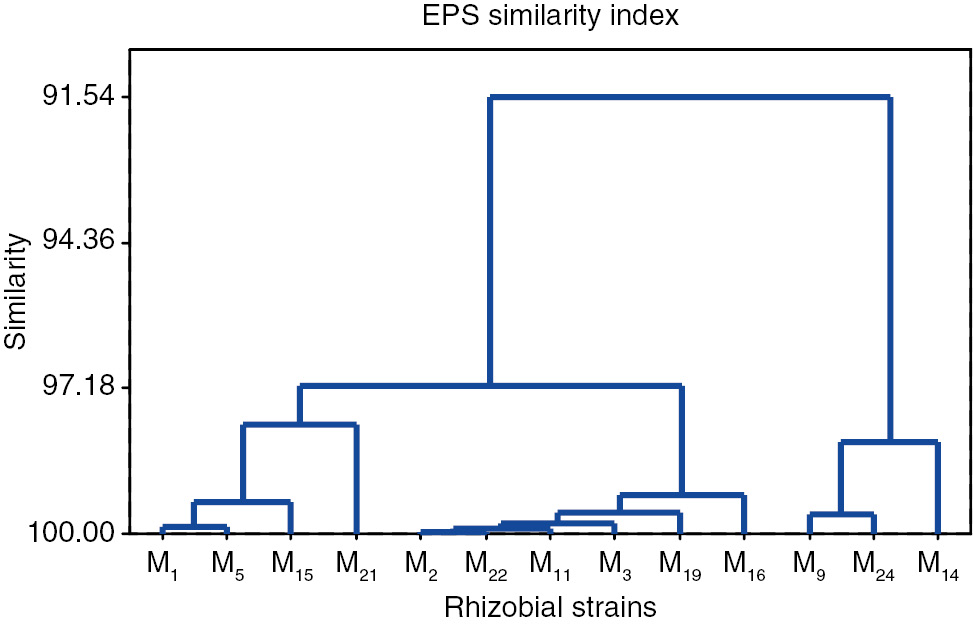 Figure 5: Similarity index of PGPR strains on the basis of EPS production and composition.