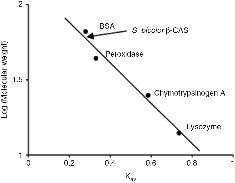 Figure 4: Plot of logarithm of molecular weight against partition coefficient.Marker proteins used include lysozyme (14 kDa), chymotrypsinogen A (25 kDa), peroxidase (44 kDa) and BSA (66 kDa). The position of S. bicolor β-cyanoalanine synthase is indicated by the arrow.