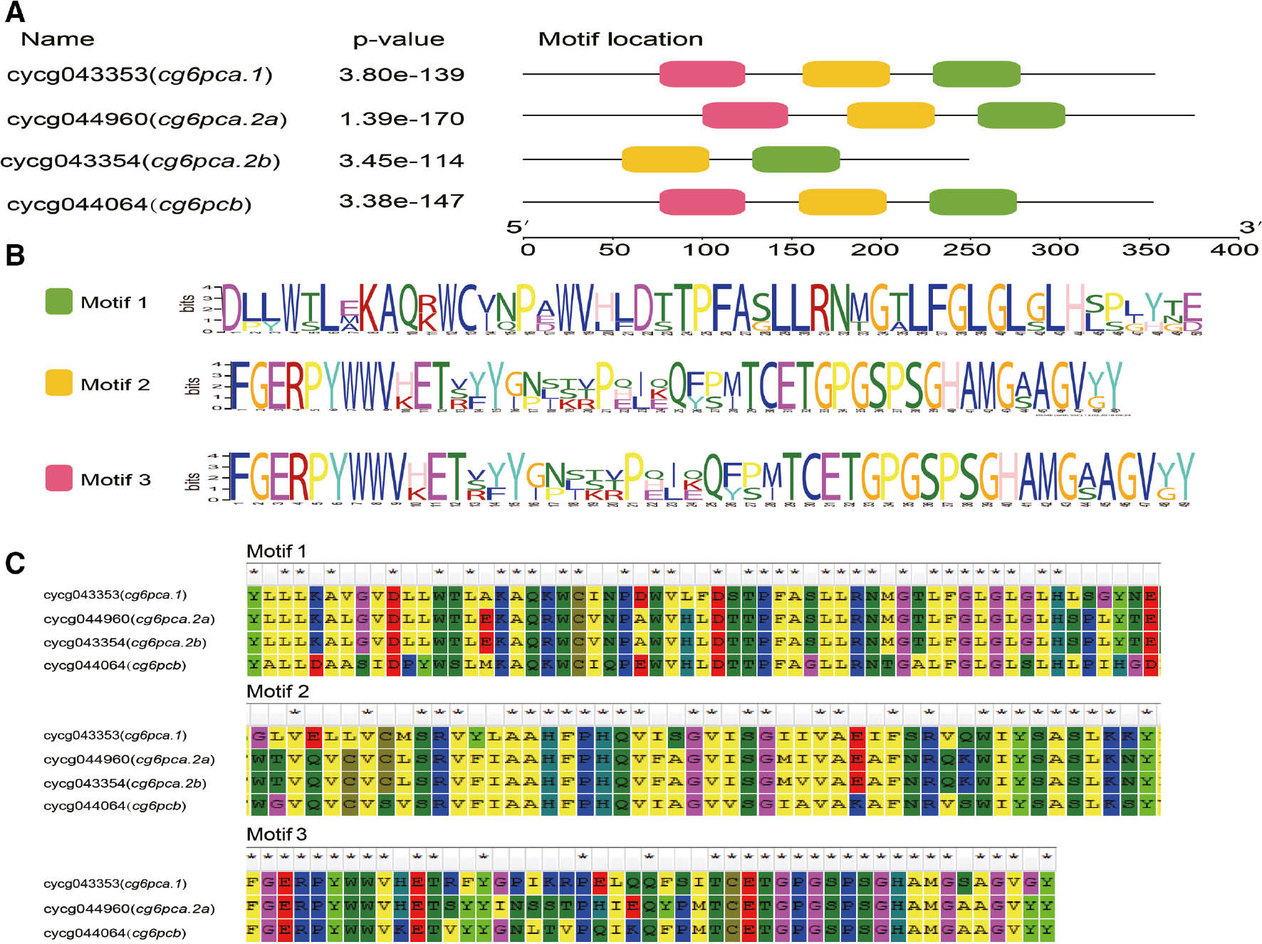 Figure 3:
The motifs in common carp G6PC family (A), the motif logos (B) and partial amino acid sequence of the three motifs (C).
(A) The annotated amino acid sequence motifs and p-values. (B) The consensus motif sequences. (C) The specific motif sequences.