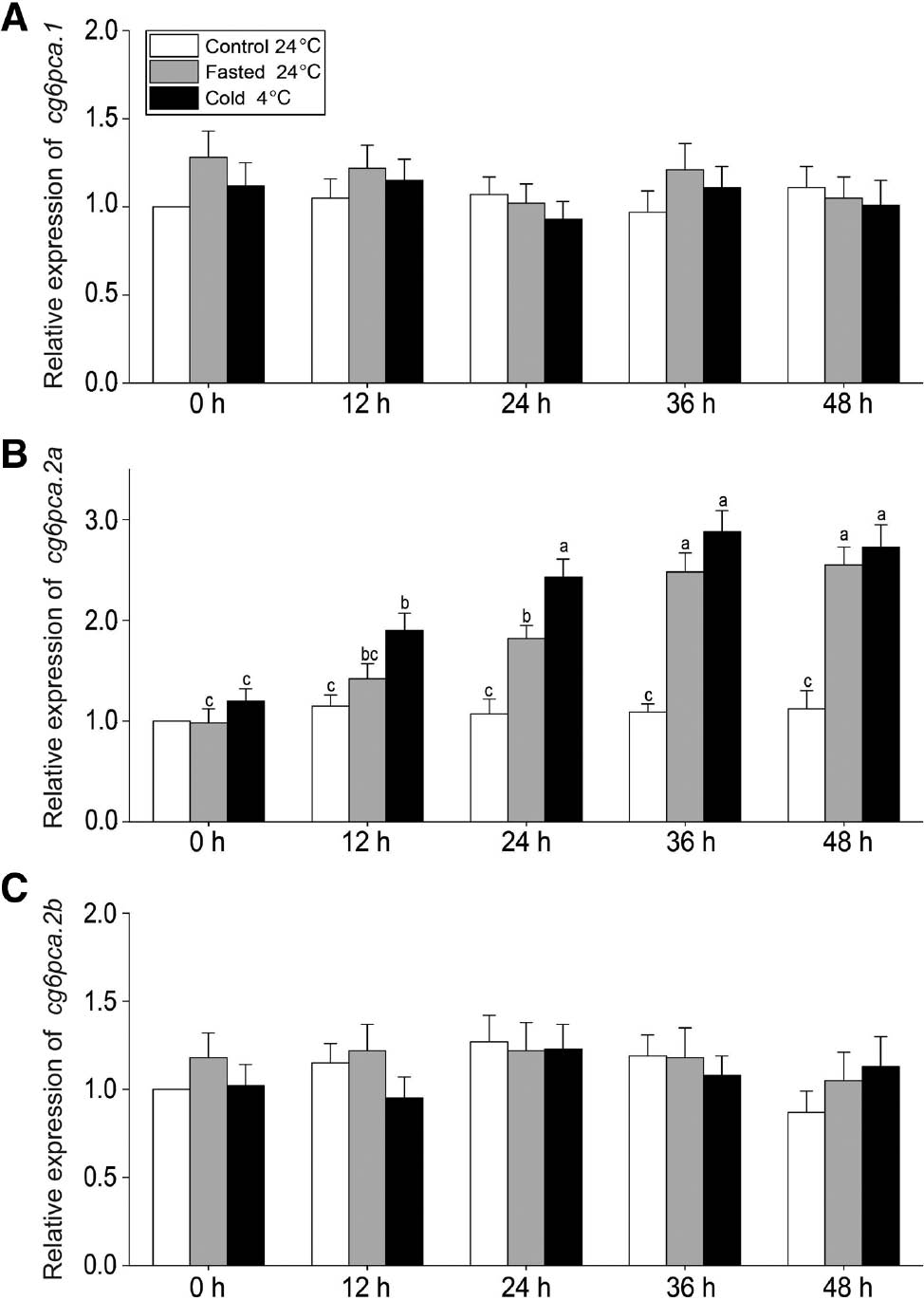 Figure 4:
The relative expressions of common carp G6PC members in cold or starvation stress.
(A) The relative expression of cg6pca.1. (B) The relative expression of cg6pca.2a. (C) The relative expression of cg6pca.2b. Time-course changes in expression difference of cg6pca.1, cg6pca.2a, cg6pca.2a and cg6pcb under starvation (gray bars) or cold stress (black bars) were depicted (white bars for control group). Data were normalized to actin-β. Values represent mean±SEM (n=3). The letters indicate the differences are significant difference between any two means (p<0.05).