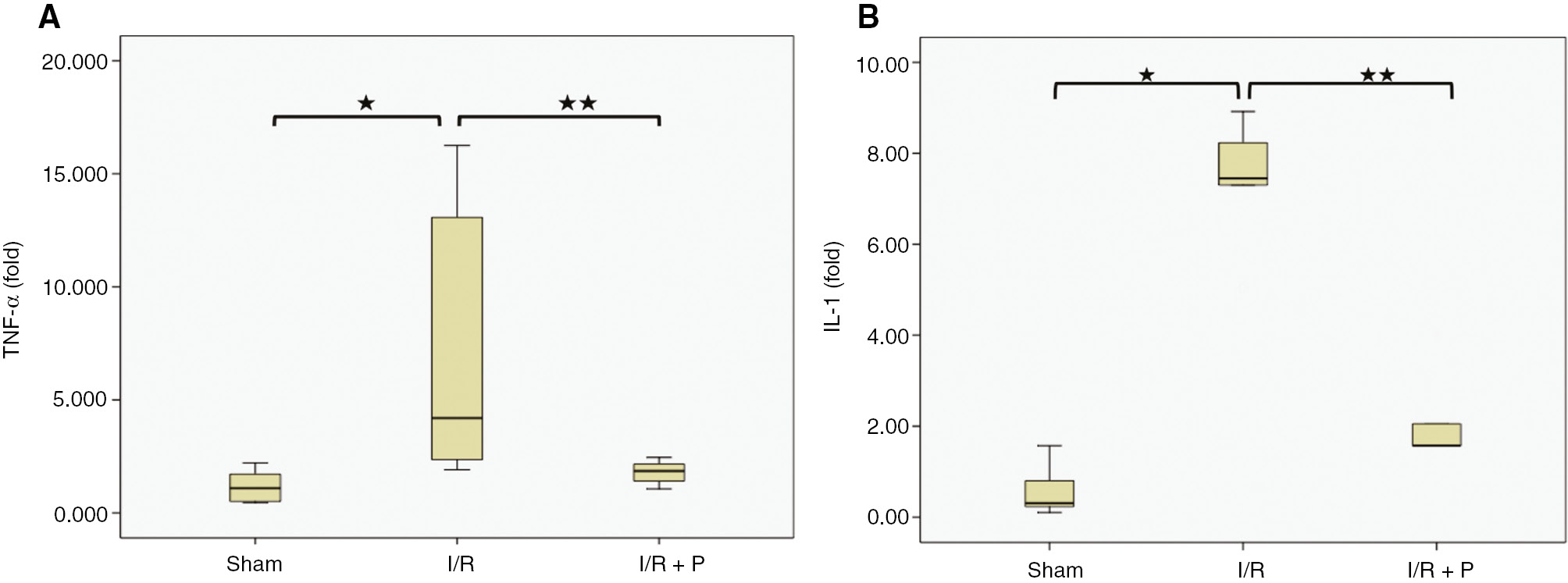 Figure 3: Box-plots with respect to effect of paricalcitol pretreatment on I/R induced pro-inflammatory cytokine expressions.The expressions of TNF-α (A) and IL-1β mRNA (B) in kidneys were compared among study groups. S, sham (n=6); I/R, 45 min ischemia followed by 24 h reperfusion (n=7); I/R+P, paricalcitol administration (0.3 μg/kg) 24 h before I/R (n=7). *p<0.05 vs. S; **p<0.05 vs. I/R, Mann-Whitney U-test.