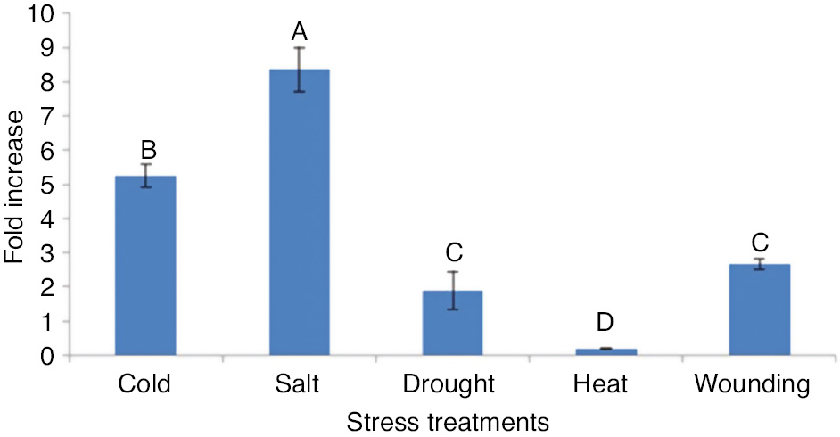 Figure 7:
Relative expression analysis of OsWRKY71 gene in abiotic stresses by RT-qPCR.
Bars represent standard errors of the mean based on three independent experiments. Different alphabets on graph bars represents the significance of result. Expression level of OsWRKY71 in all types of stresses differ significantly. However, there is non-significant difference in expression level in response of drought and wounding stress.