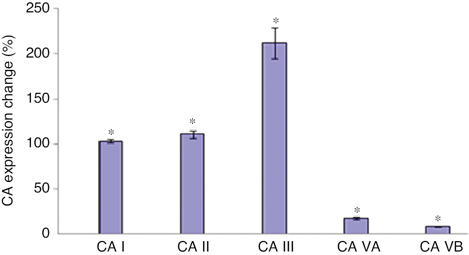 Figure 5:
CA isoenzyme expressions in differentiated 3T3-L1 cells compared with not differentiated cells.
Carbonic anhydrase expressions found to be increased with the induction of adipogenesis (*p<0.001).