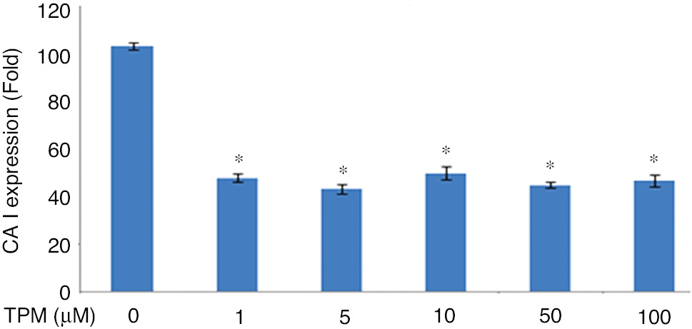 Figure 6:
Effects on CA I expression.
(*p=0.0001), compared with no TPM treated cells. (**p=0.0001), compared with 1 and 5 μm.