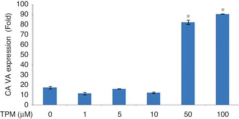 Figure 9:
Effects on CA VA expression.
(*p=0.0001) compared with no TPM treated cells.