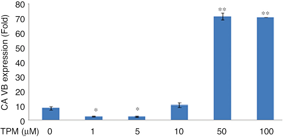 Figure 10:
Effects on CA VB *p<0.005, compared with no TPM treated cells.
**p=0.0001, compared with no TPM treated cells.