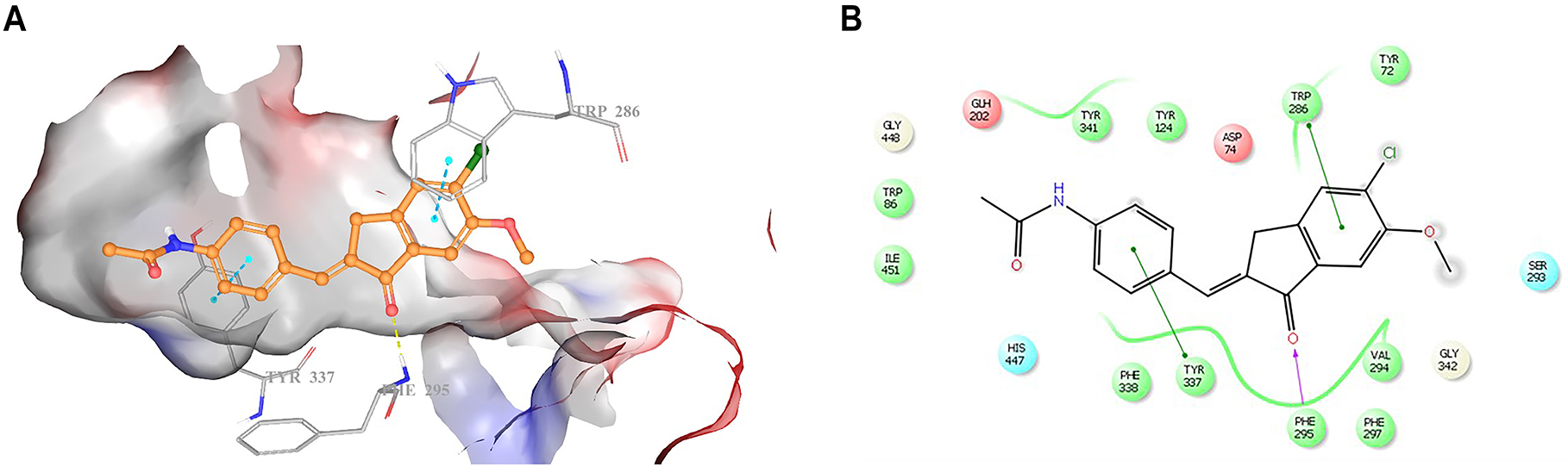 Figure 2: Docking pose (A) and interactions (B) of compound 4 in the active site of AChE (PDB code: 4EY7) (Hydrogen bonds are depicted as yellow dashes (A) and purple line (B), whereas π–π stacking interactions were presented as blue dashes (A) and green lines (B).