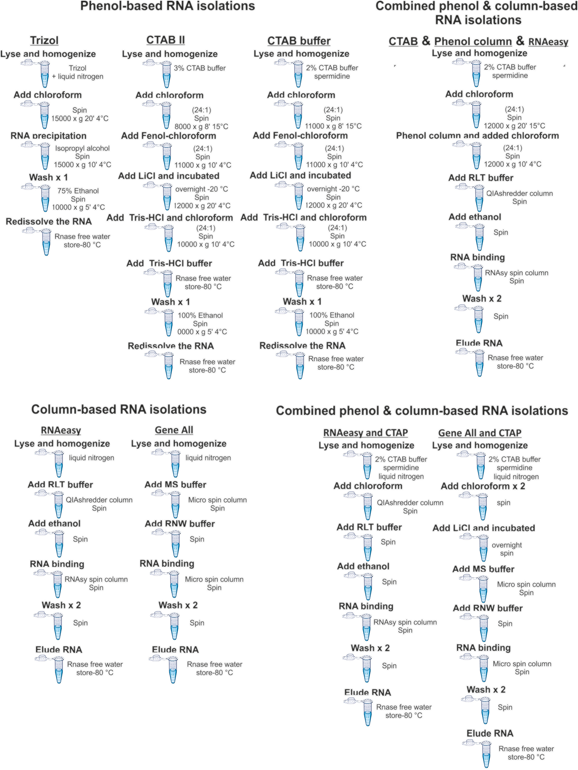 Figure 1: Flow chart showing the tested total RNA isolation methods. The RNAs from hazelnuts buds were isolated by (i) phenol-based method such as Trizol, CTAP and SDS, (ii) column-based method such as commercial kit (RNeasy plant mini kit) (iii) phenol-based & column-based methods.
