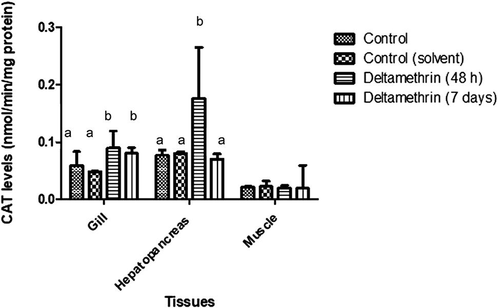 Figure 4: CAT levels of gill, hepatopancreas and muscle tissues of crayfish after exposed to 0.005 μg/L of deltamethrin for 48 h and 7 days. Means in the figure for each tissue with different small letters are significantly different (p < 0.05).