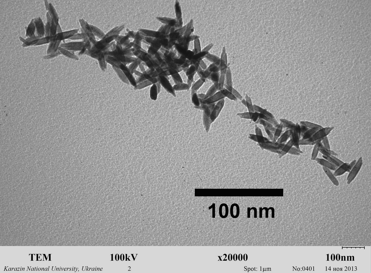 Figure 3: Representative transmission electron microscopy (TEM) image of orthovanadate GdVO4:Eu3+ nanoparticles obtained for this study in colloidal solutions. Their average size is 8 × 25 nm.
