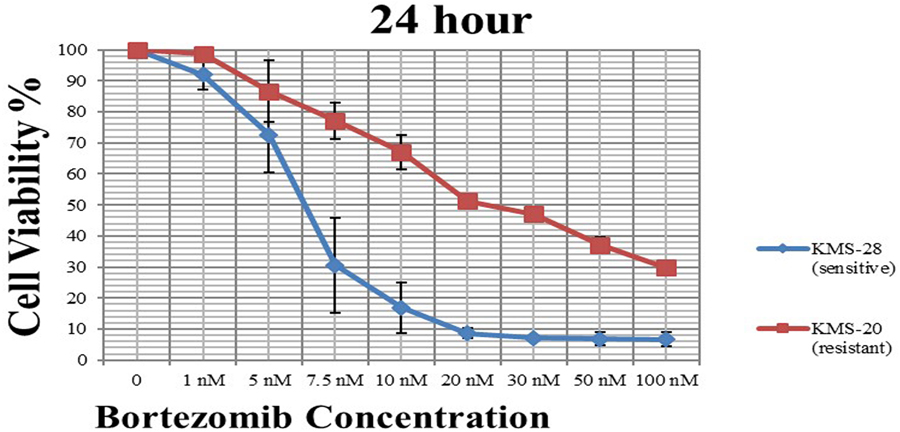 Figure 1: Effect of bortezomib on cell viability in KMS-20 (red) and KMS-28 (blue) cell lines at 24 h. IC50 values represent means of three independent experiments ± SD.