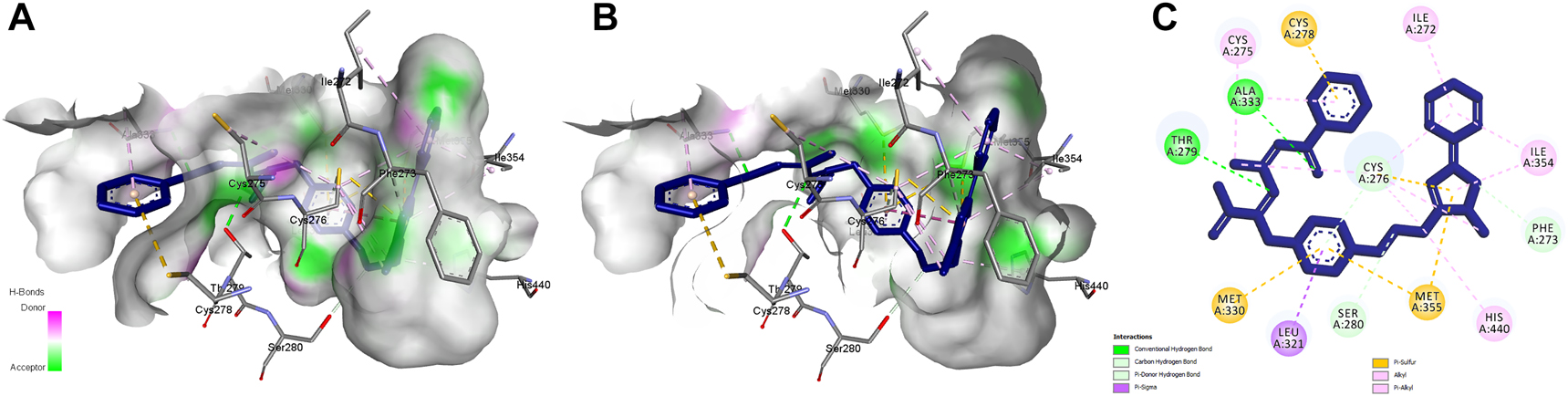 Figure 3: 
Illustration of wild type PPARA interaction with ligand at lowest binding energy. (A) Surface illustration of ligand receptor interaction, (B) reverse slide illustration, (C) diagram illustration of ligand receptor interaction.
