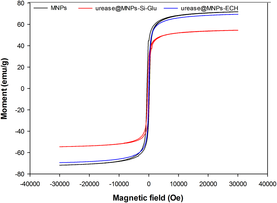 Figure 4: 
VSM magnetization curve of MNPs, urease@MNPs-Si-Glu and urease@MNPs-ECH.
