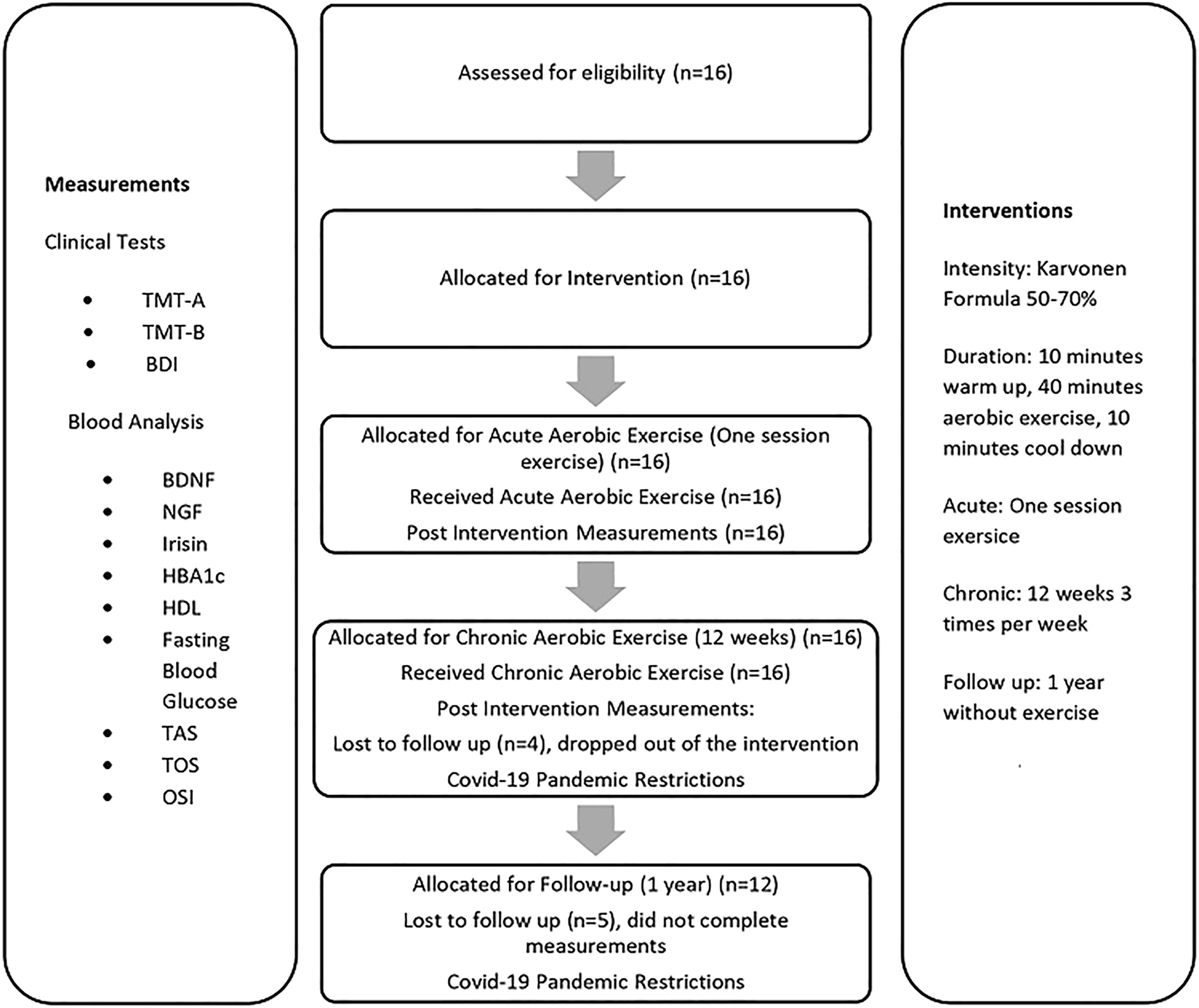 Figure 1: 
The description of the logistics of the study. TMT, trail making test; BDI, Beck depression inventory; HbA1c, hemoglobin A1c; HDL, high-density lipoprotein cholesterol; TAS, total antioxidant status; TOS, total oxidant status; OSI, oxidative stress index; BDNF, brain-derived neurotrophic factor; NGF, nerve growth factor.