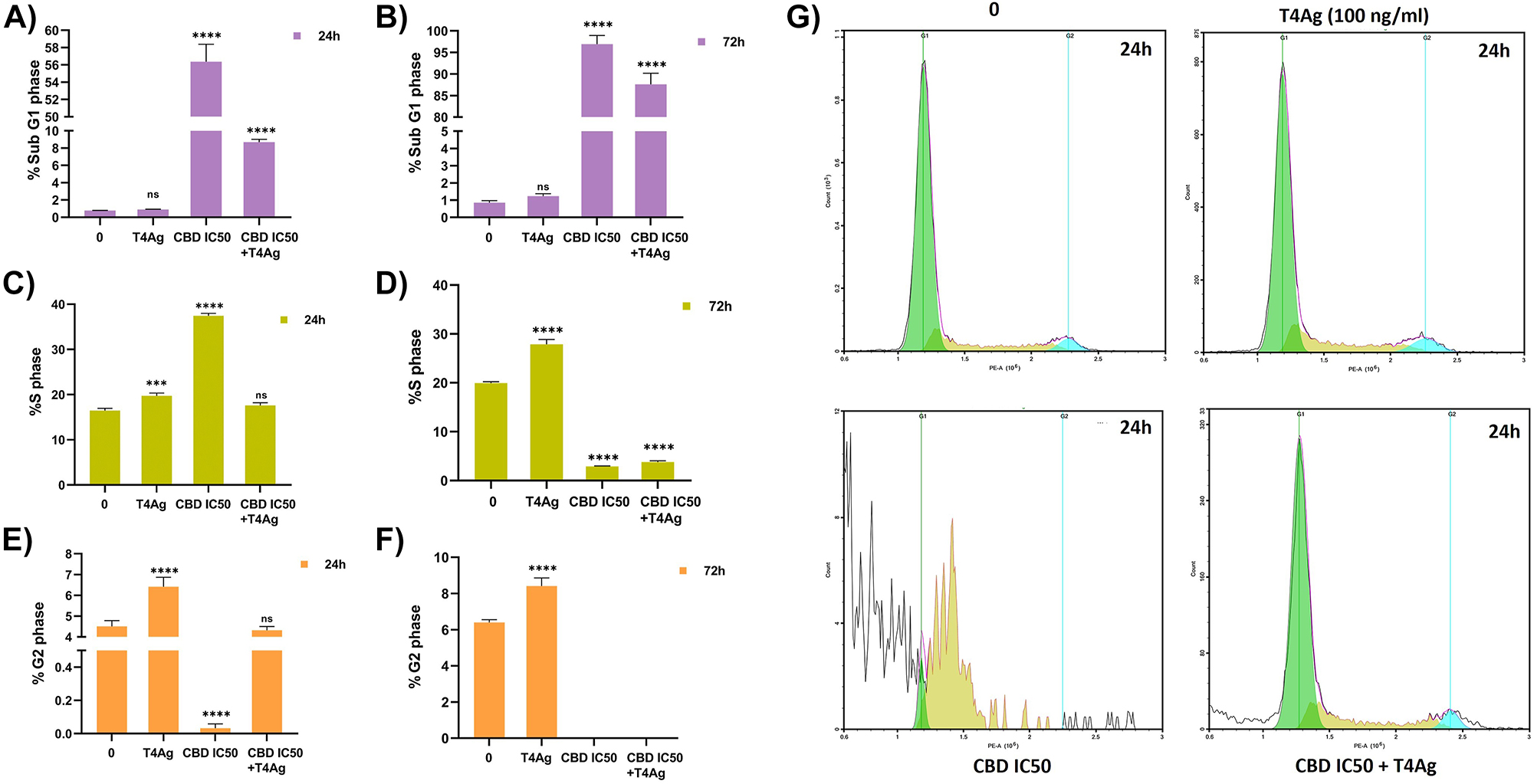 Figure 2: 
Effect of CBD and T4Ag cell cycle flows in A549 cells. Cell cycle histograms of the experimental groups (g) 24 h and the number of cells belonging to the SubG1 (A, B), S (C, D) and G2 (E, F) phases are given graphically 24 and 72 h. The untreated cells served as the control. The statistical significance level is denoted by asterisks as follows: * for p<0.05, ** for p<0.01, *** for p<0.001, and **** for p<0.0001, indicating the mean statistical difference. The data were analyzed by one-way ANOVA followed by Sidak’s post hoc testing. The values are represented as mean±SD, with n=3.