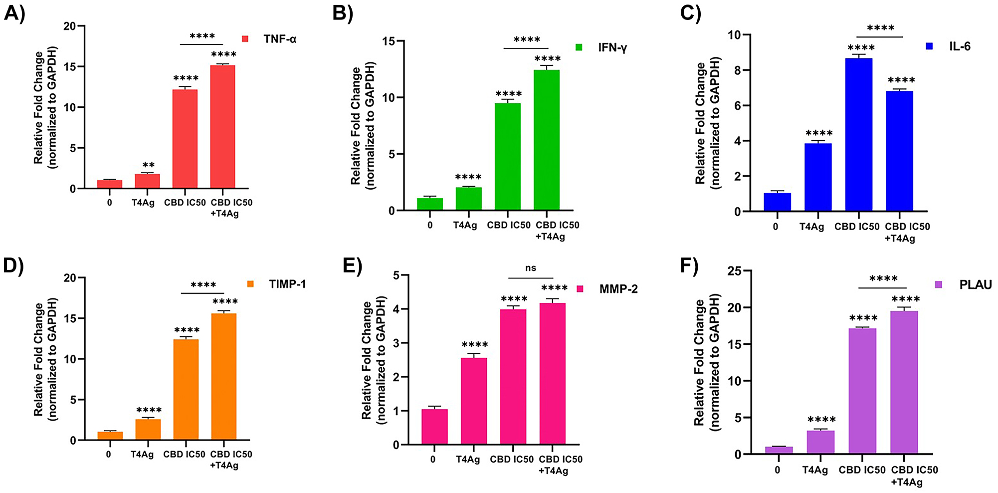 Figure 4: 
The 24 h effect of CBD and T4Ag on cytokines and ECM regulated gene expression of A549 cells. Fold change graphs of TNF-α (A) IFN-γ (B), and IL-6 (C) gene expression of genes related to immune response are given. Gene expression fold change graphs of ECM associated genes belonging to the experimental groups TIMP-1 (D), MMP-2 (E), and PLAU (F) were given. The results were normalized to the expression of GAPDH. Statistical significance is represented by stars: * for p<0.05, ** for p<0.01, *** for p<0.001, and **** for p<0.0001, indicating a significant difference from the control group. The data were analyzed by two-way ANOVA followed by Tukey’s post hoc testing.
